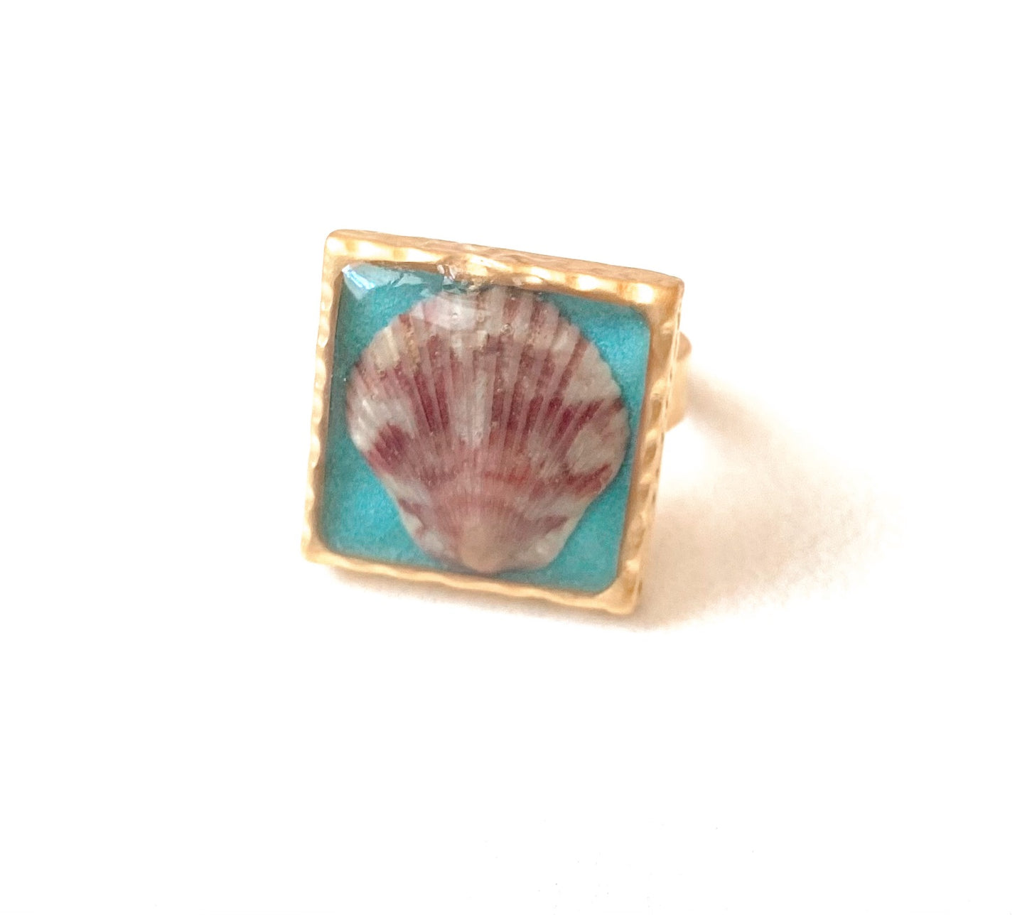 Low Tide Seashell Ring | Turquoise
