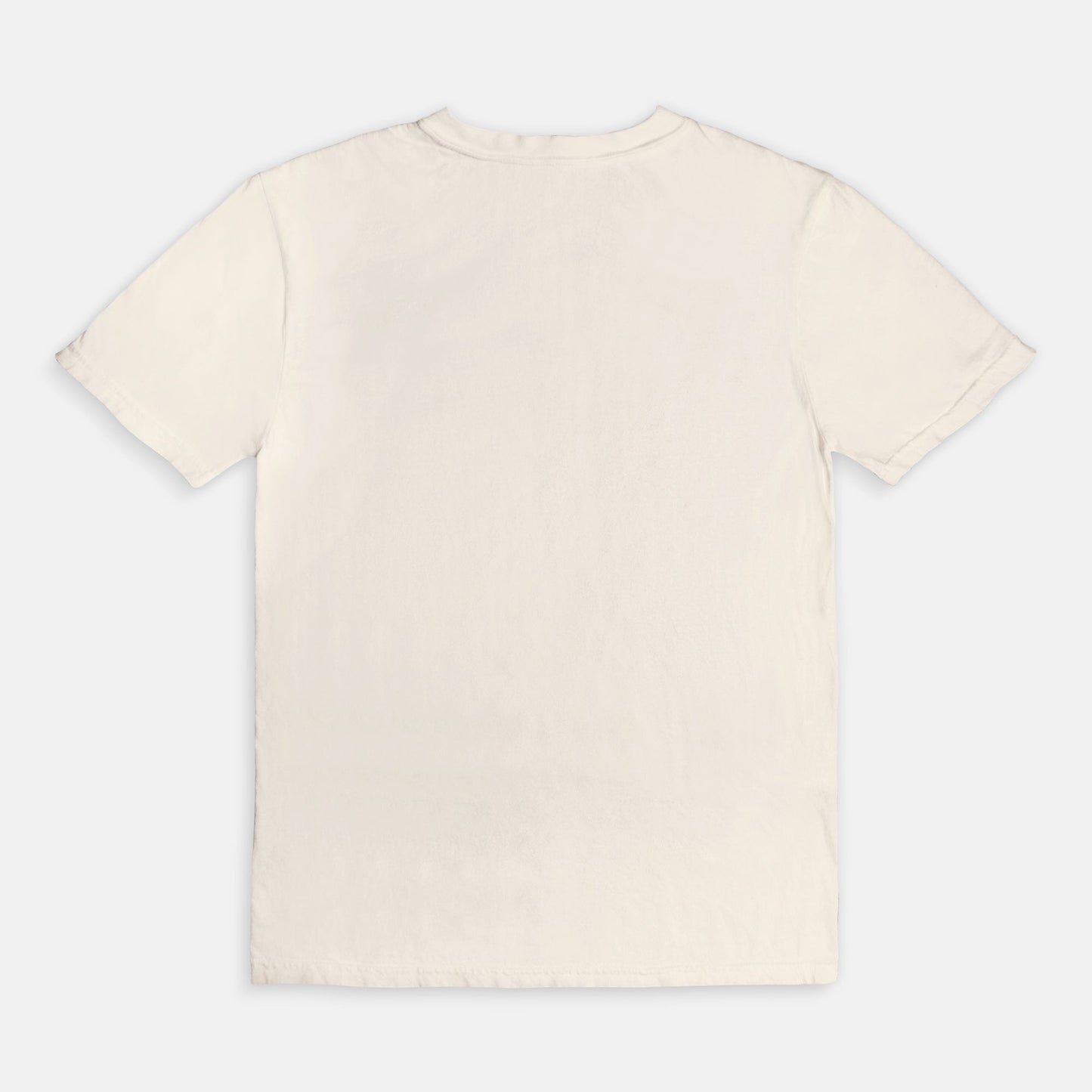 Cozy Vibes Seashell Ivory Tee – Coastal Fall Graphic Tee for Autumn Comfort