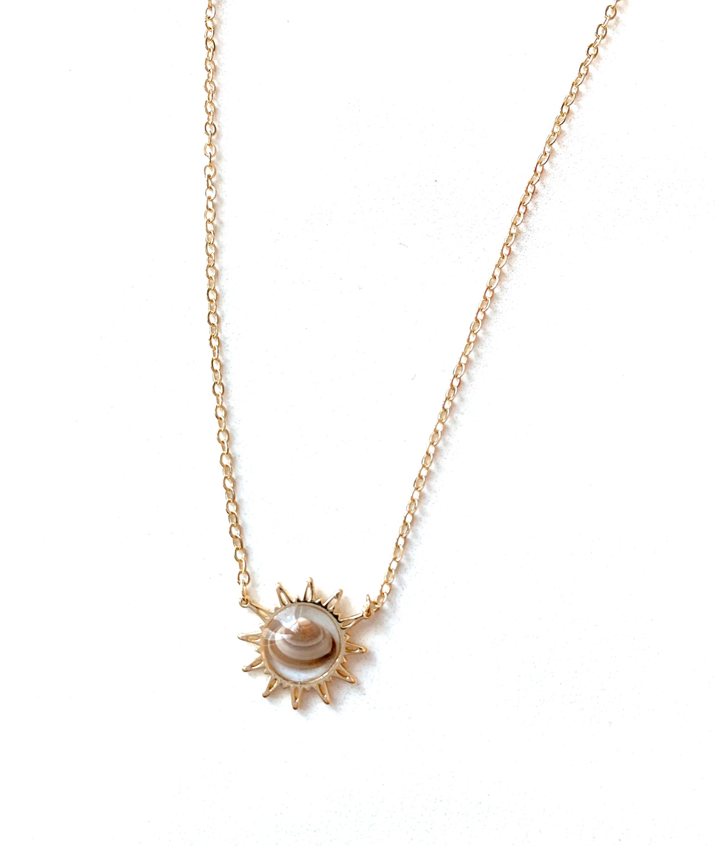 Sunshine Rae Seashell Necklace