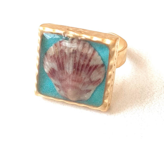 Low Tide Seashell Ring | Turquoise